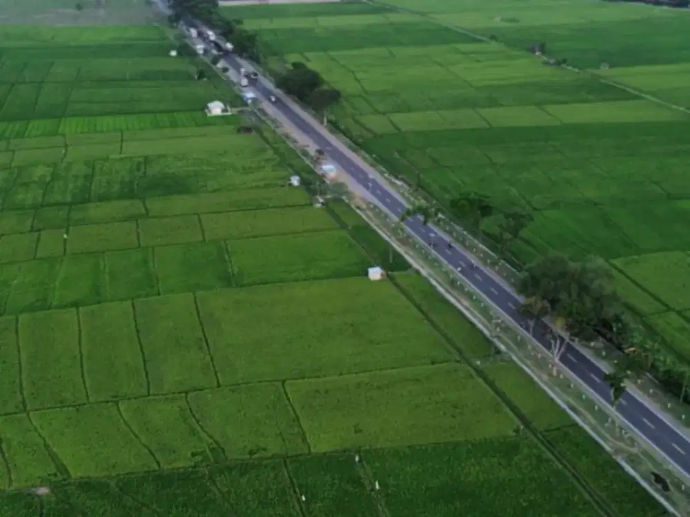 Tanah Zona Industri Ngawi