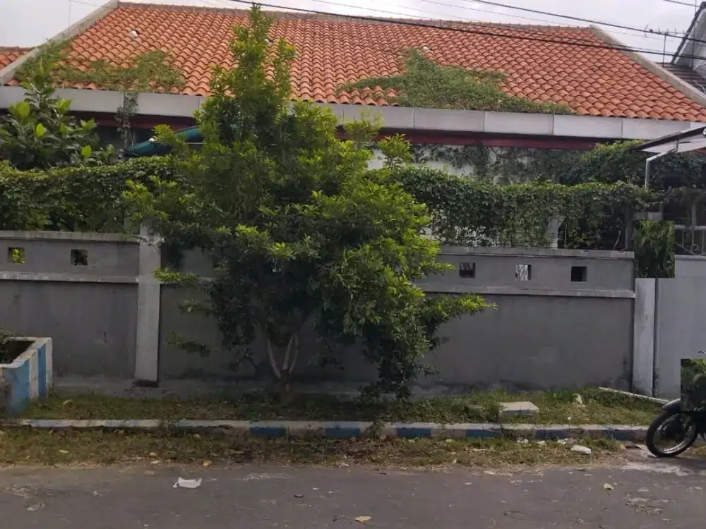 DIJUAL GUDANG MEDOKAN ASRI TENGAH RUNGKUT SURABAYA RON.A2394