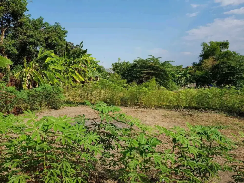 DIJUAL TANAH SUMBERSARI JABON SIDOARJO RON.A2085