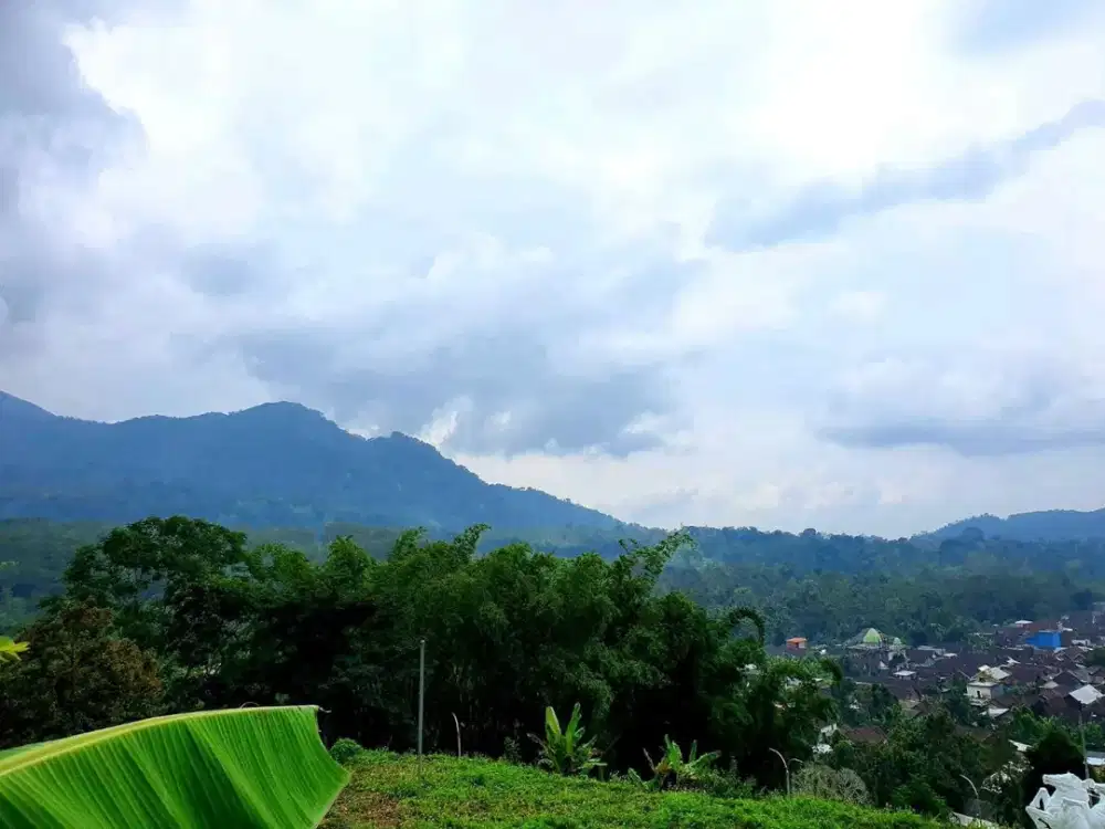 DIJUAL TANAH TRAWAS MOJOKERTO RON.A1282