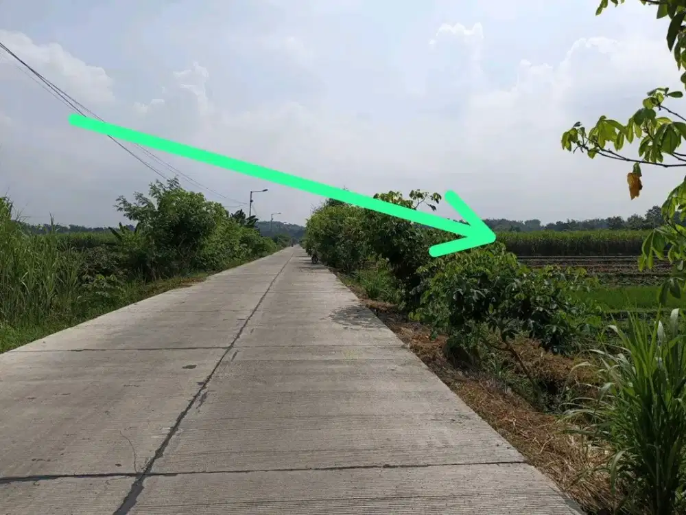 DIJUAL TANAH MOJOREJO JETIS MOJOKERTO RON.A1708