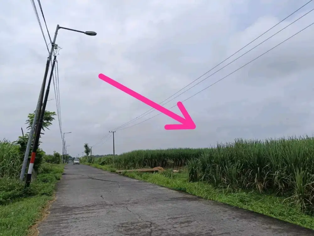 DIJUAL TANAH KEMLAGI MOJOKERTO RON.A1760