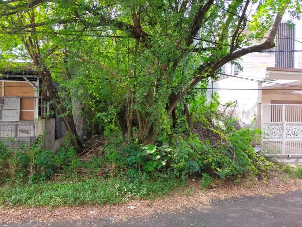 DIJUAL TANAH MEDOKAN ASRI BARAT DEKAT UPN SURABAYA RON.A158