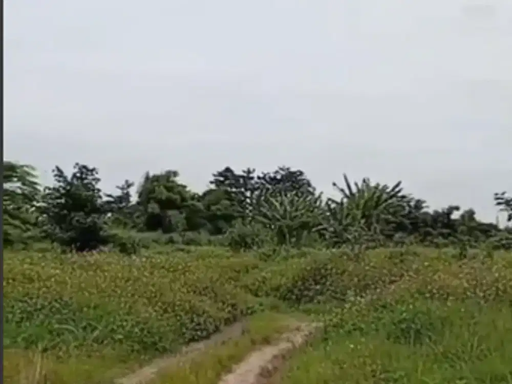 Tanah Kosong Murah di Legok Tangerang