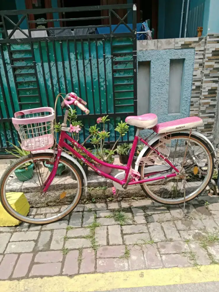 Sepeda merk Phoenix dan merk evergreen
