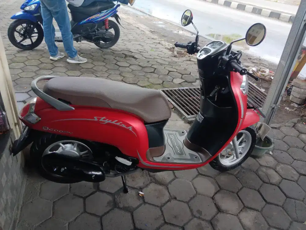 Scoopy staylis th 2020