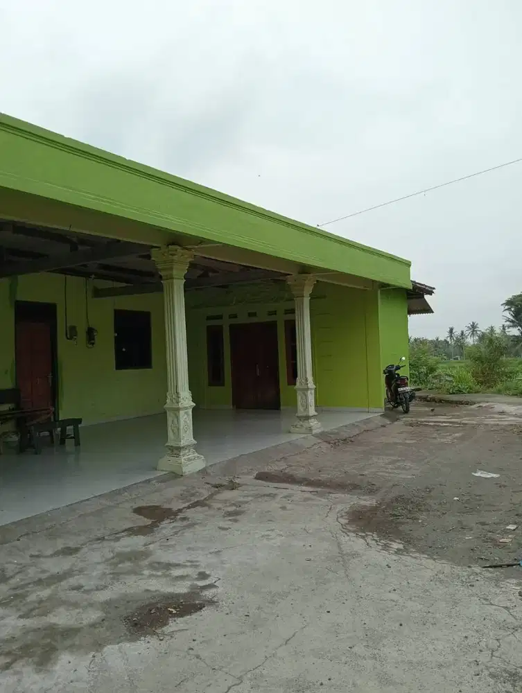 Disewakan/ Kontrak Rumah Asri dengan Halaman Luas di Dusun Surokerten