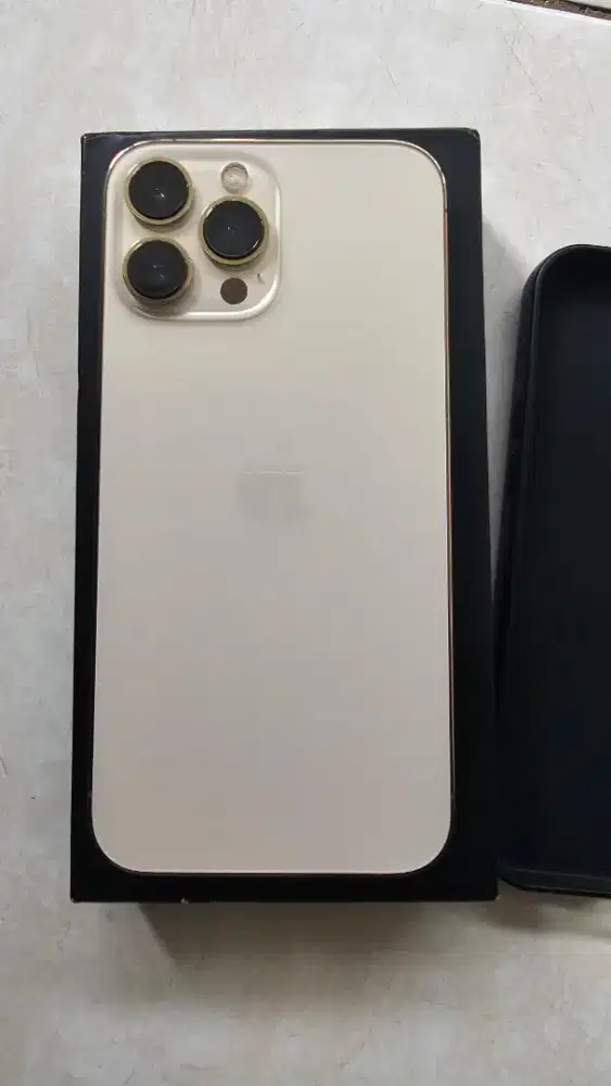Apple iPhone 13 ProMax