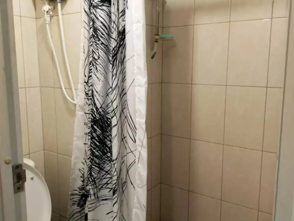 Apartment Springlake Bagus 1 BR Furnished
