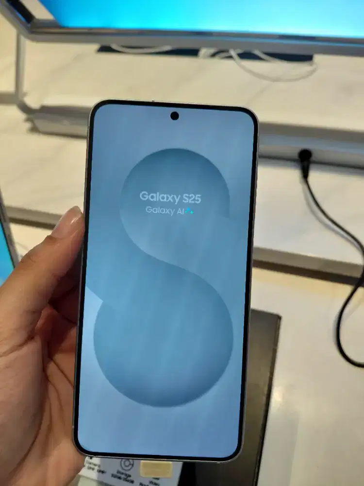 Samsung Galaxy S25