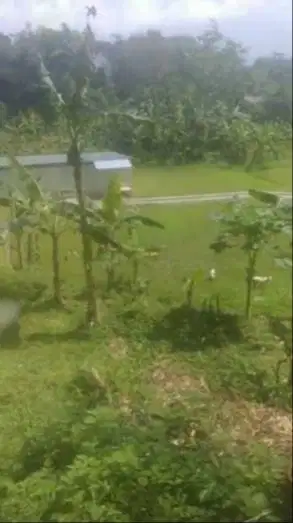 Dijual Tanah Include Rumah banyak mata air  di Cigombong Bogor