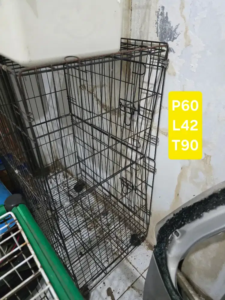 Kandang kucing murah