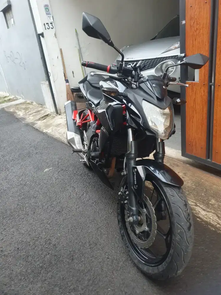 Kawasaki Z250 SL