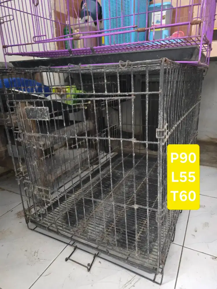 Kandang anjing besar