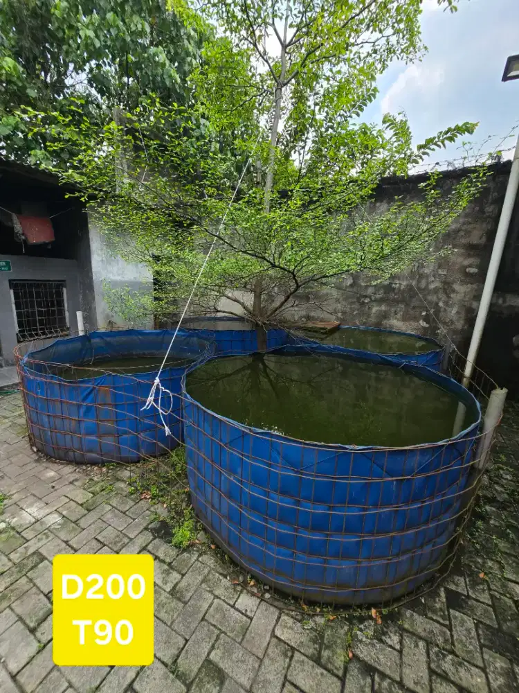 Kolam terpal bekas lele