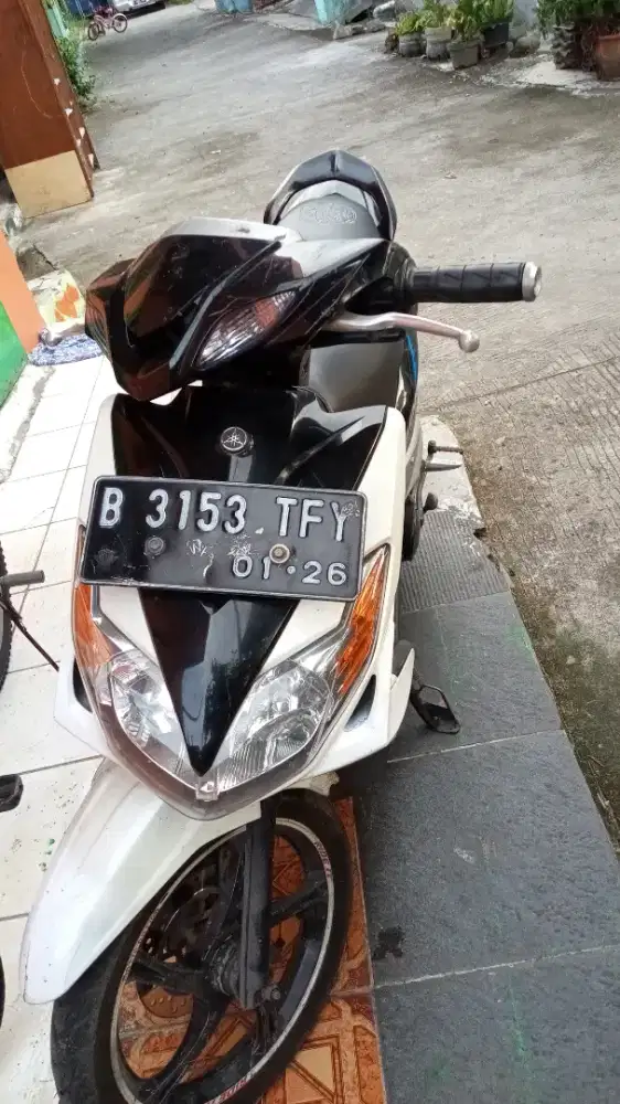 xeon karbu putih