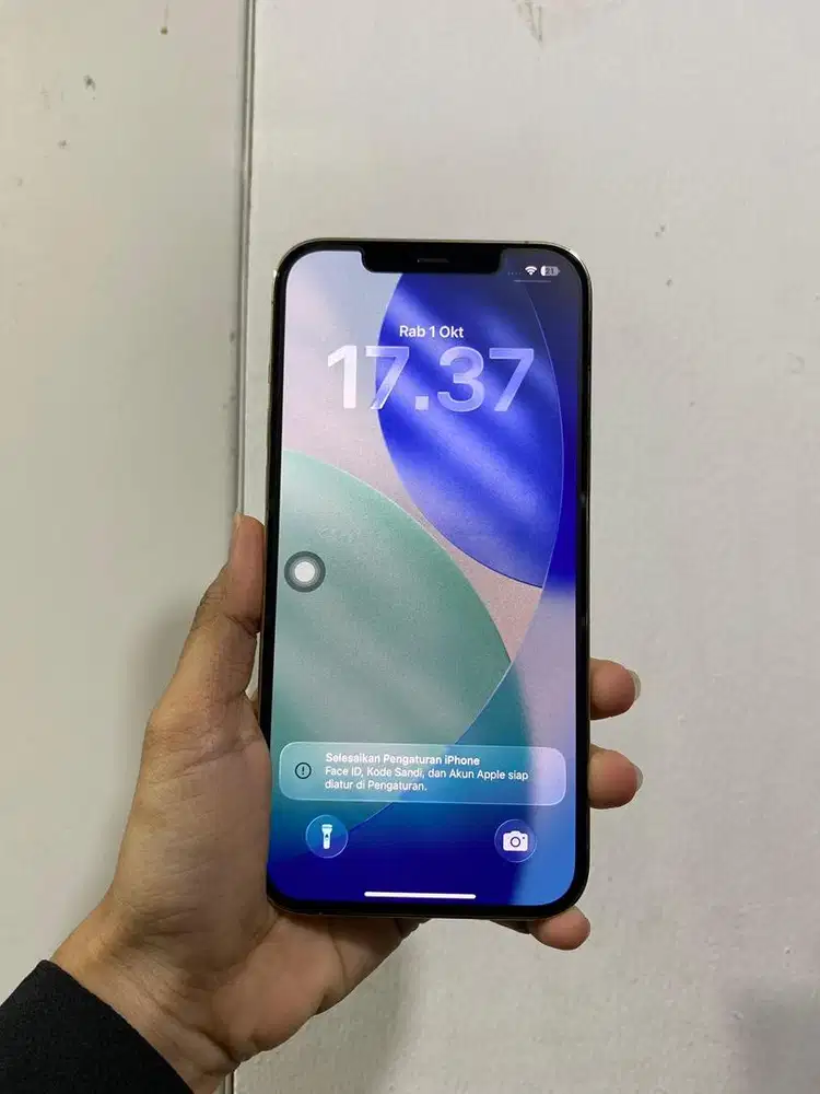 Iphone 12 promax 128GB (gold) baterai health 85%