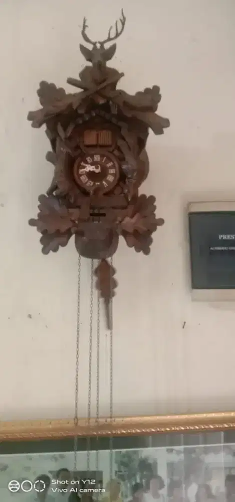 DIJUAL JAM KUKUK (BURUNG)