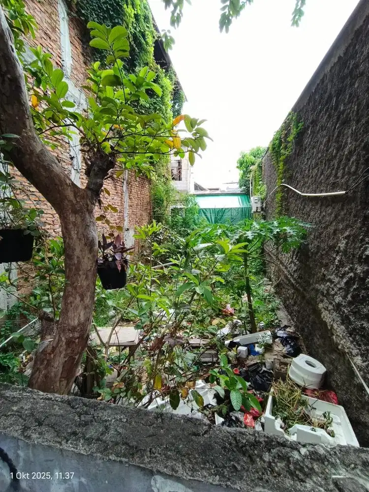DIJUAL TANAH SHM CEPAT DAN MURAH