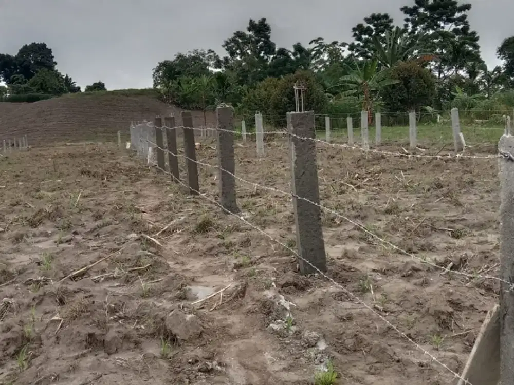Dijual Tanah di Kelurahan Baru Ladang Bambu Tuntungan Medan Sumatera Utara Luas 200m2