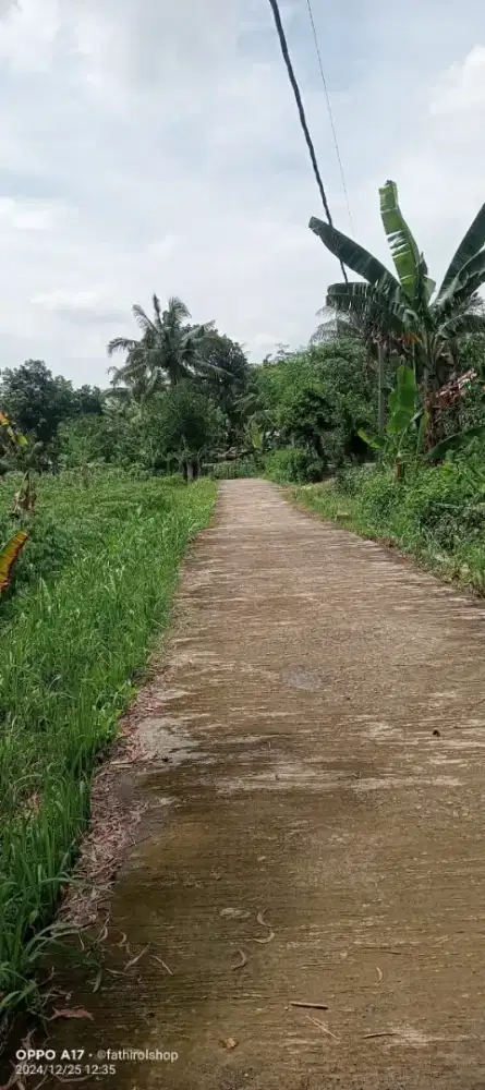 Di Jual Tanah dekat jalan utama