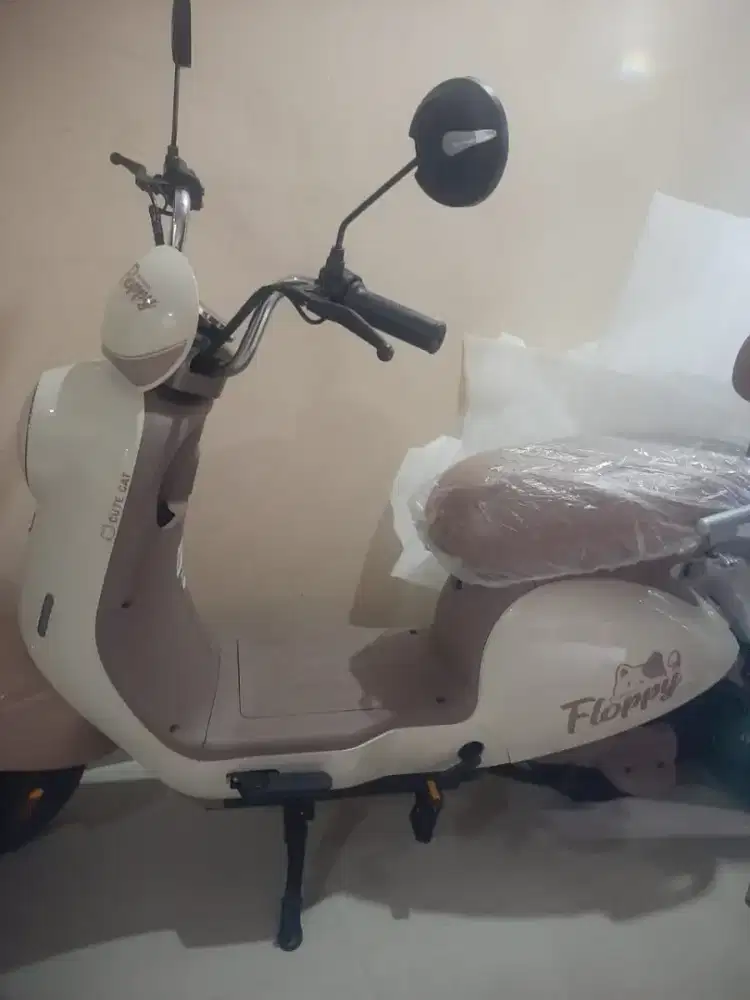 Sepeda listrik baru