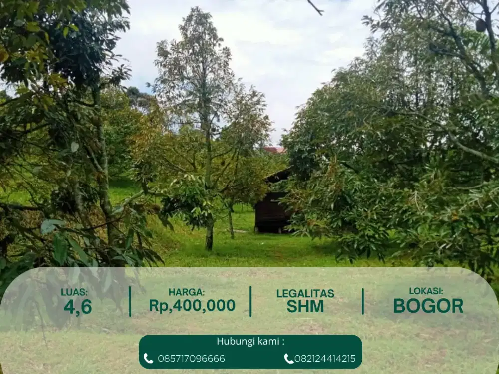 Tanah 4,6 Ha SHM + Kebun Durian Produktif, Lokasi Strategis Dekat Tol Caringin – Bogor