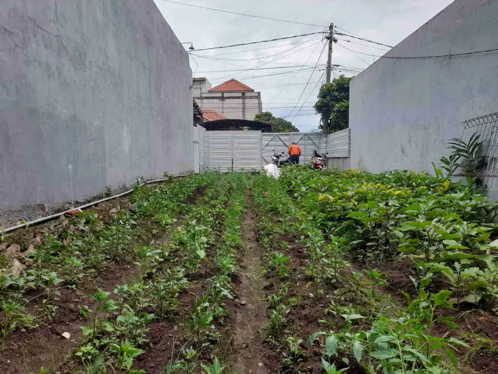 Tanah Bumi Sariwangi Bandung Utara