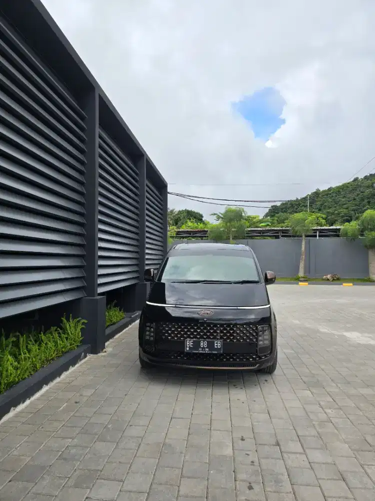 Staria mafia batu bara