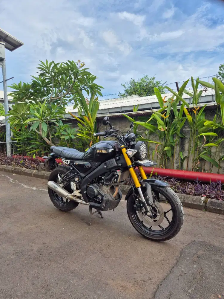 Yamaha XSR 155 (2023) Tangan Pertama