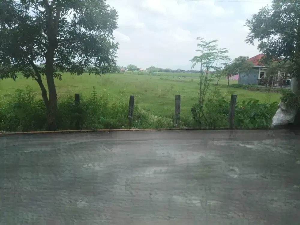 JUAL LELANG TANAH JUMENENG MOJOKERTO MA1741