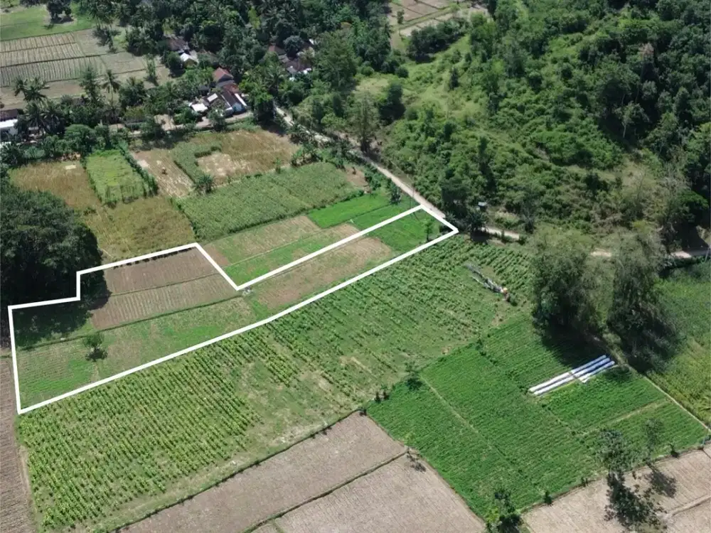 Tanah murah di Selong belanak lombok. Cocok untuk villa