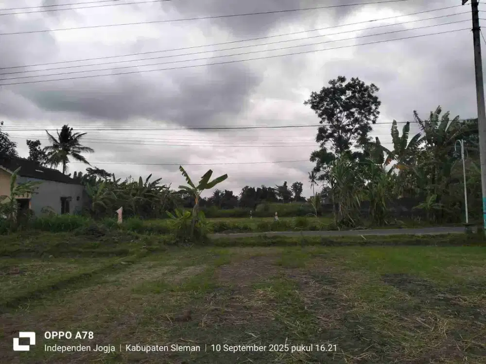 DIJUAL TANAH SAWAH SHM DEKAT PALAGAN