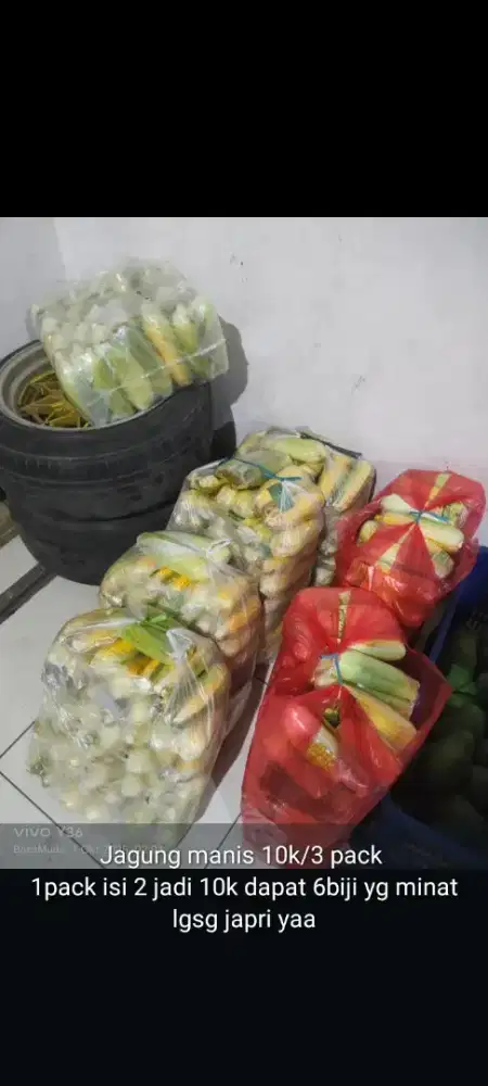Jagung manis nis