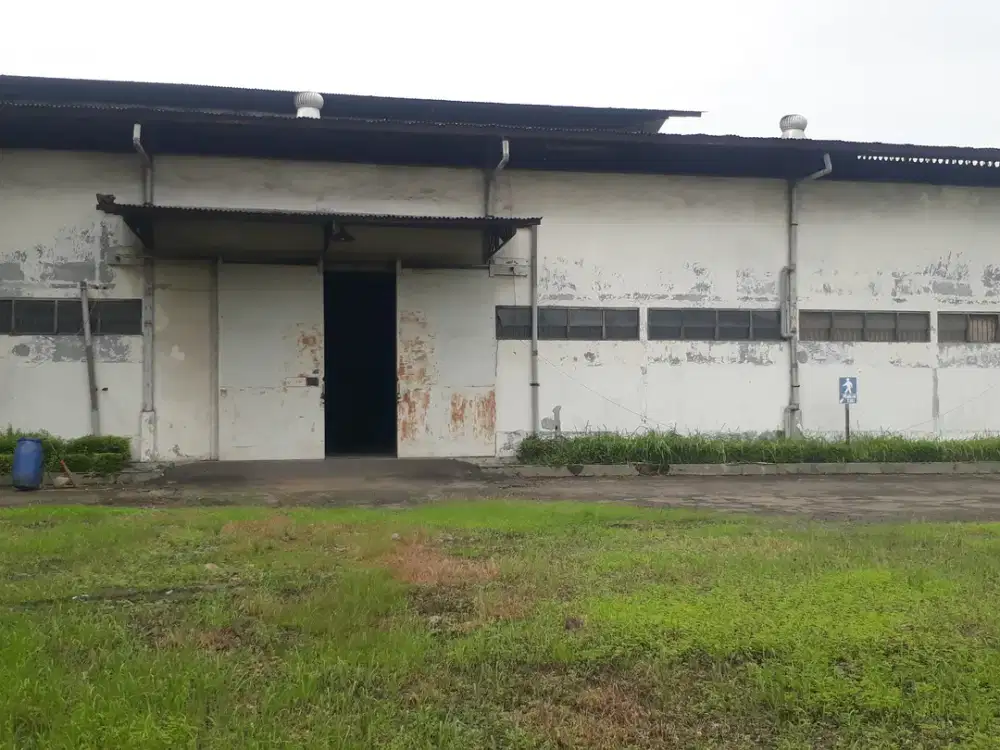 gudang sewa lokasi driyorejo murah