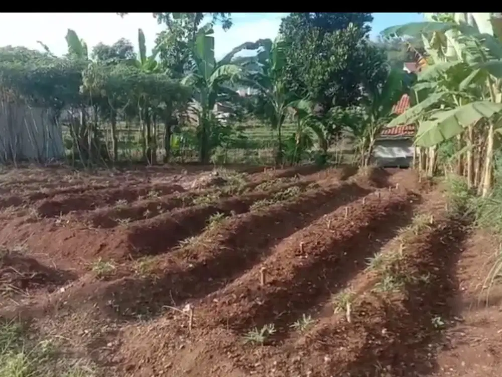 Dijual Cepat Tanah Pinggir jalan di Cipaku Majalaya