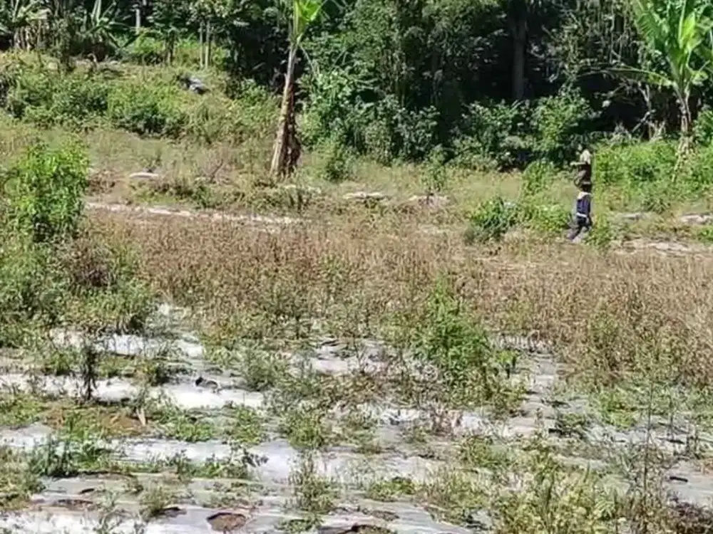 Dijual Cepat Tanah Kol.Masturi Lembang, Bandung Barat