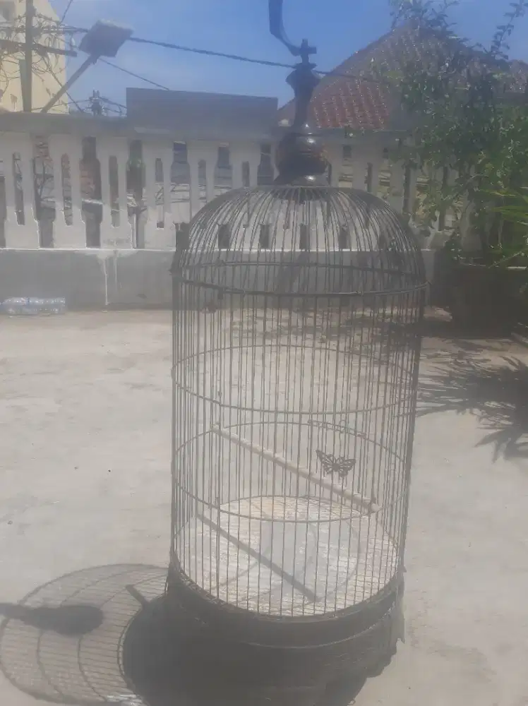 Jual 2 sangkar labet