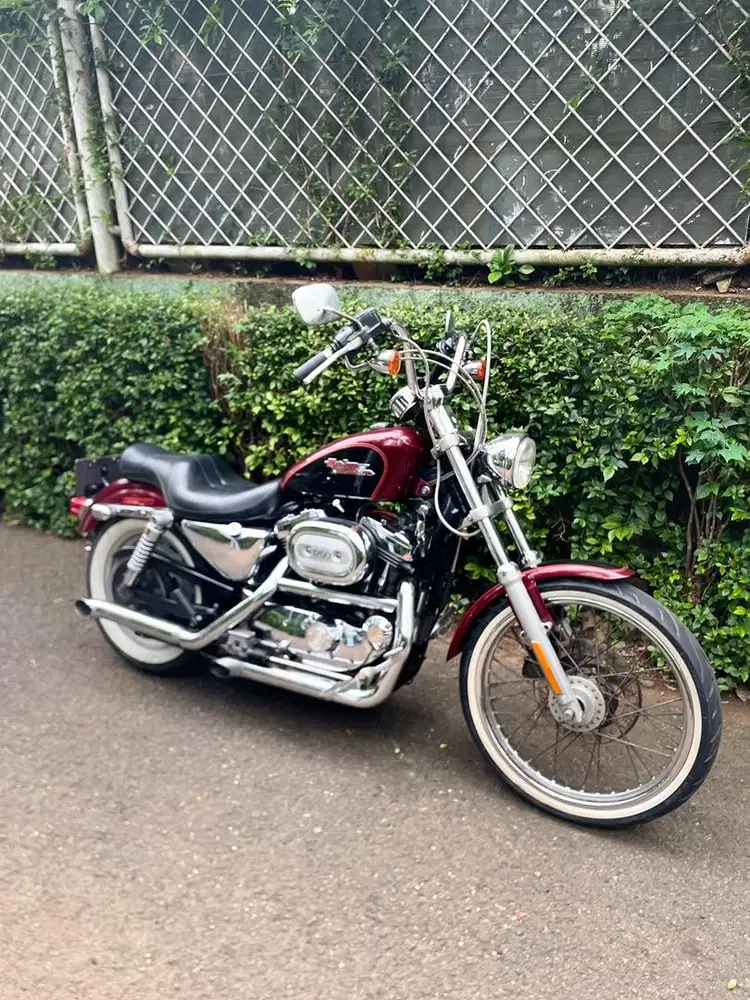 Harley Davidson 2000 Sportster 1200 Custom (XL1200C)