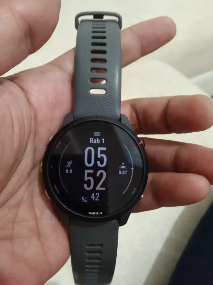 garmin forerunner 255 normal semua