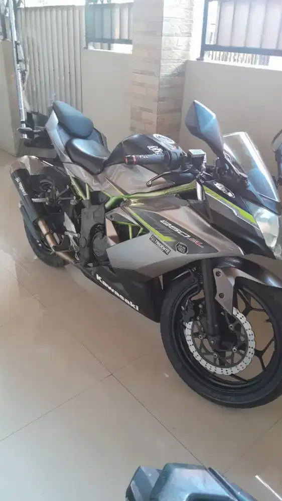 Kawasaki ninja 250(mono)
