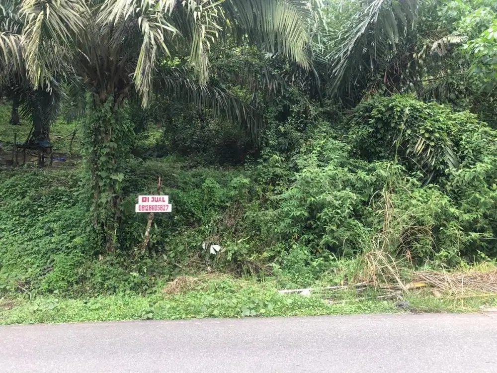 Tanah lokasi premium di Padang Sidempuan