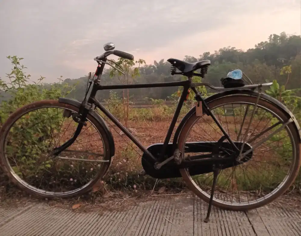 Jual sepeda onta laki