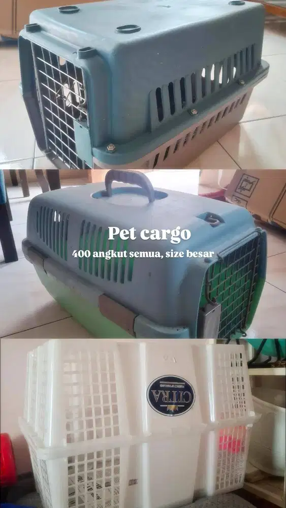 Jual cepat pet Cargo (3 box)
