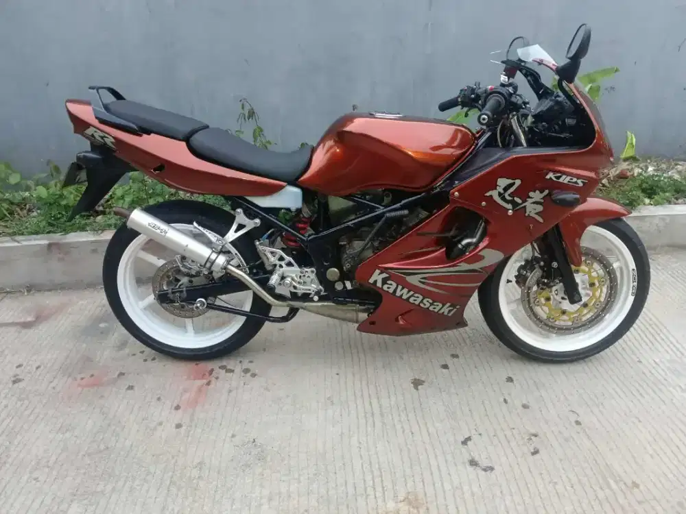 Kawasaki ninja rr 2010