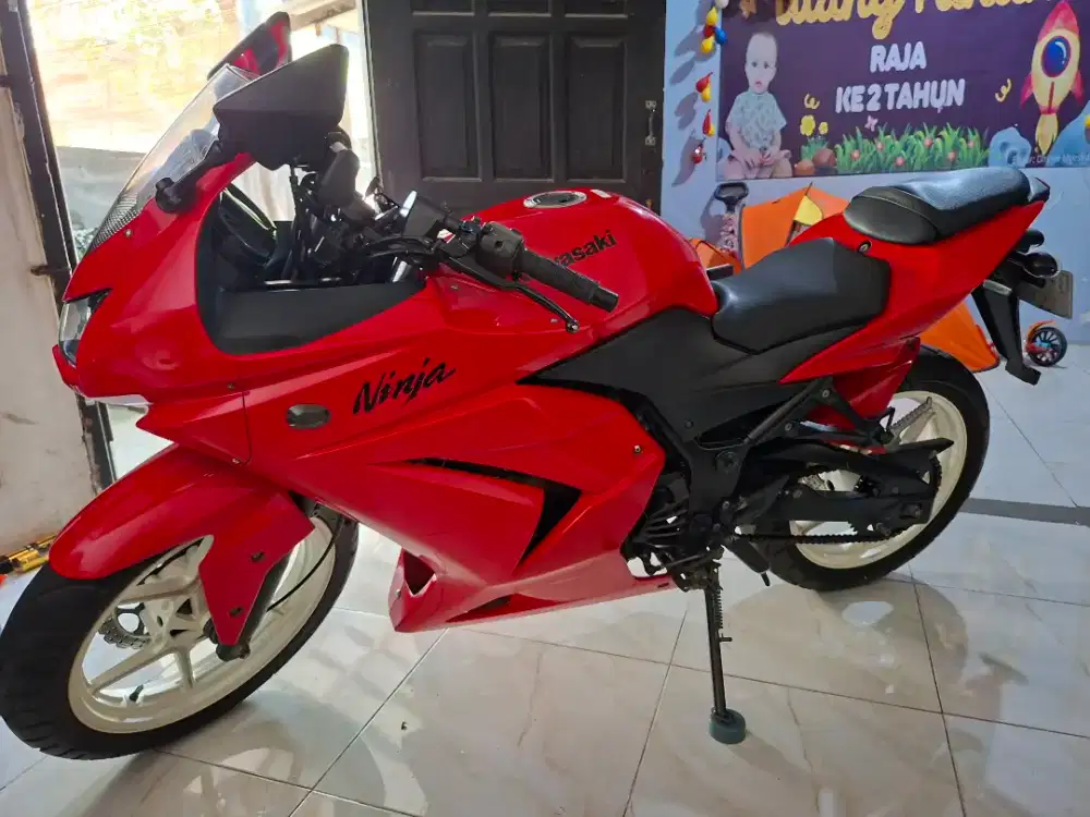 Ninja 250 R Full Orsinil
