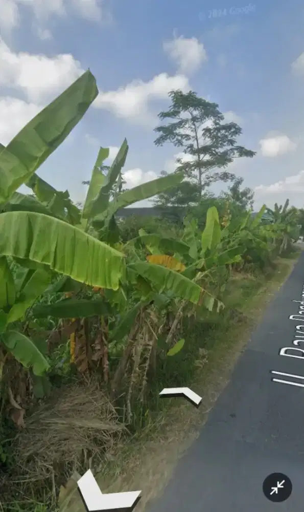 Disewakan tanah Murah, Lokasi strategis sekitar Jl Palagan