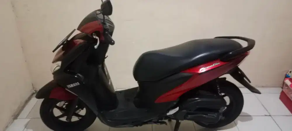 Yamaha FreeGo 2019