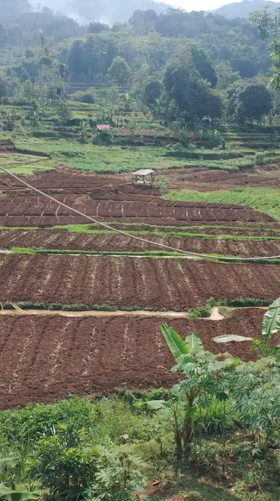Jual tanah sawah murah cimaung
