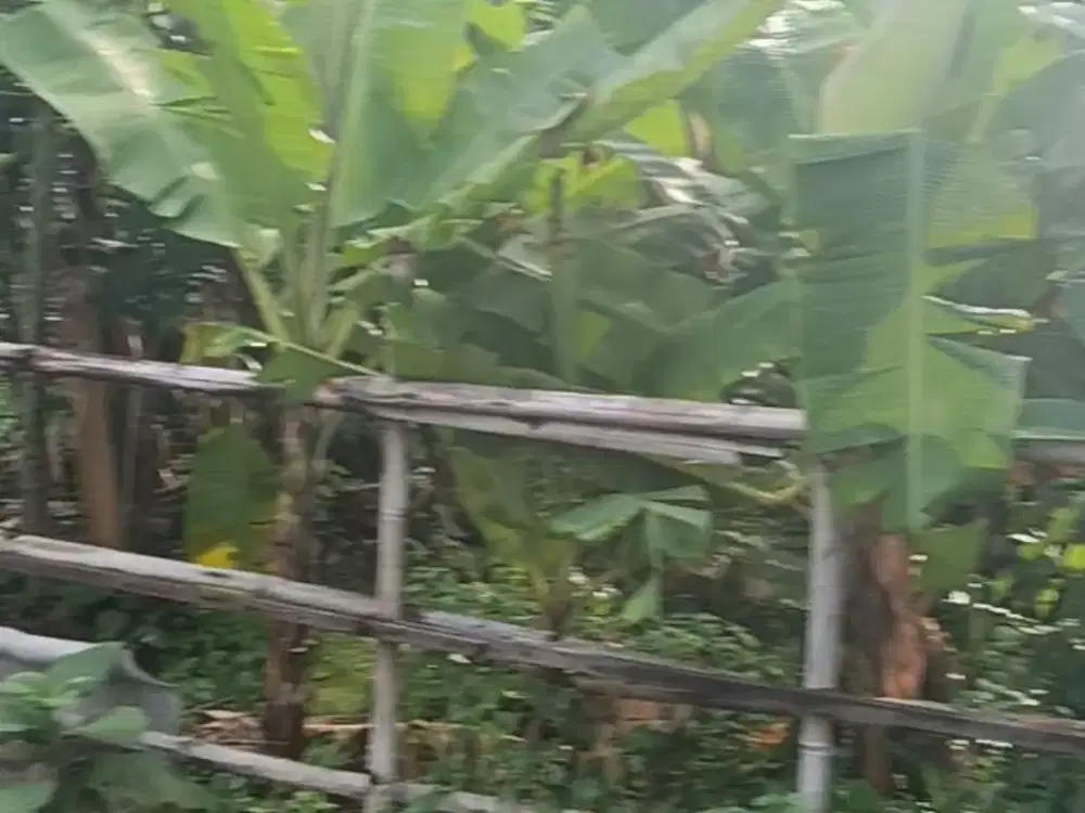 Jual tanah di Tangerang selatan